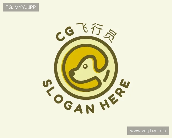 概述CG飞行员